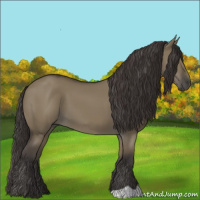 Horse Color:Smoky Grullo 