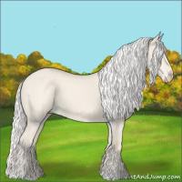 Horse Color:Silver Smoky Creme Dun 