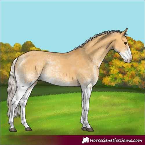 Horse Color:White Spotted Silver Buckskin Dun 