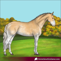 Horse Color:White Spotted Silver Buckskin Dun 