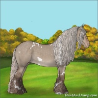 Horse Color:White Spotted Silver Grullo Varnish 