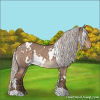 Horse Color:White Spotted Silver Grullo Varnish 