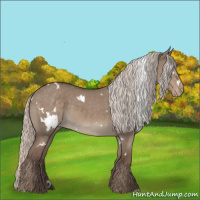 Horse Color:White Spotted Silver Grullo Varnish 