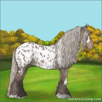 Horse Color:White Spotted Silver Grullo Blanket 