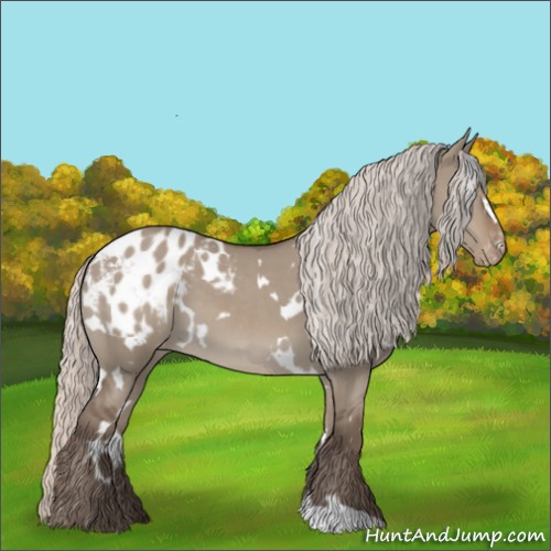 Horse Color:White Spotted Silver Grullo Appaloosa 