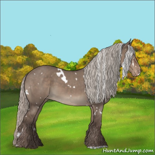 Horse Color:White Spotted Silver Grullo Varnish