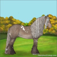 Horse Color:White Spotted Silver Grullo Varnish 