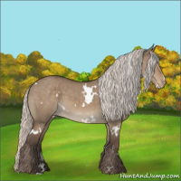Horse Color:White Spotted Silver Grullo Varnish 
