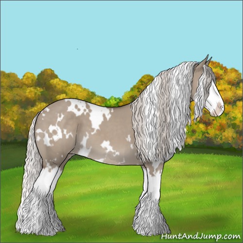 Horse Color:White Spotted Silver Grullo Splash Appaloosa