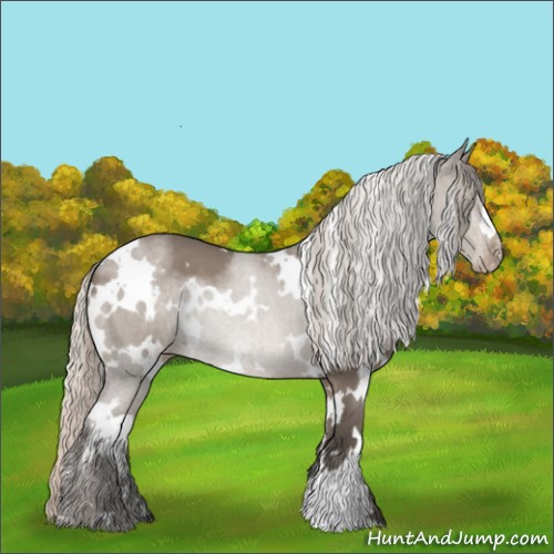 Horse Color:White Spotted Silver Grullo Appaloosa 