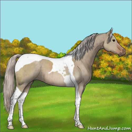 Horse Color:Silver Grullo Tobiano Brindle