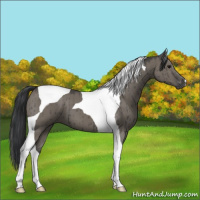 Horse Color:Grullo Tobiano Brindle 