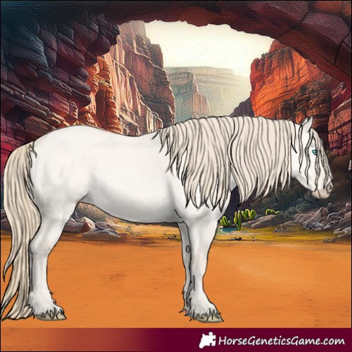 Horse Color:Perlino Dun 