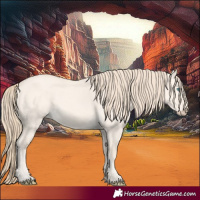 Horse Color:Perlino Dun 