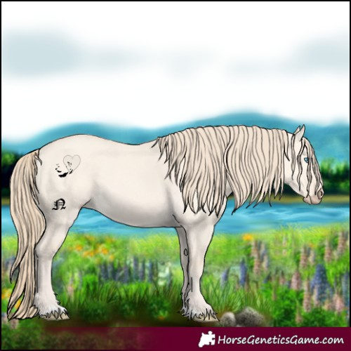 Horse Color:Perlino Dun 