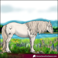 Horse Color:Perlino Dun 