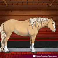 Horse Color:Palomino Dun 