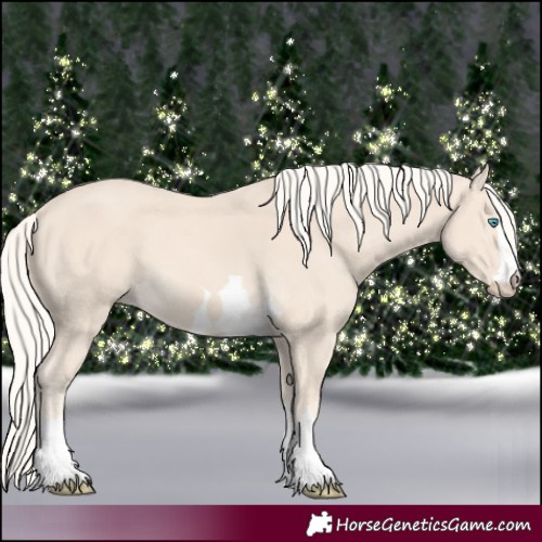 Horse Color:Cremello