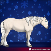 Horse Color:Cremello 