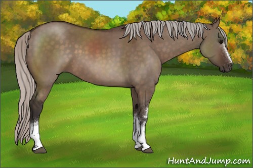 Horse Color:White Spotted Silver Brown Dun 