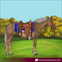 Horse Color:Chocolate Palomino 