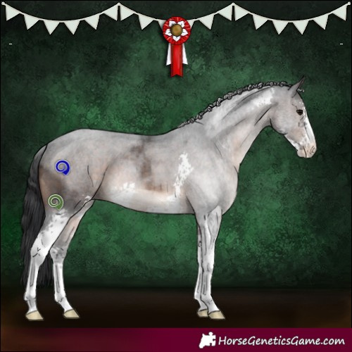 Horse Color:Brown Roan Sabino 