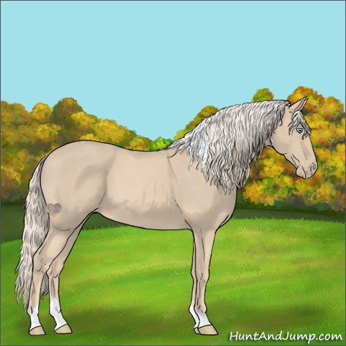Horse Color:Cremello Tobiano 