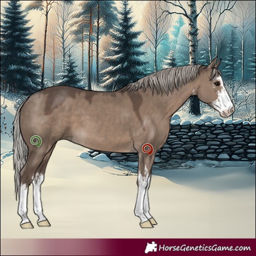 Horse Color:White Spotted Silver Grullo 