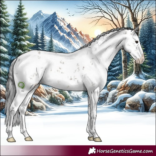 Horse Color:White Spotted Brown Dun Sabino 