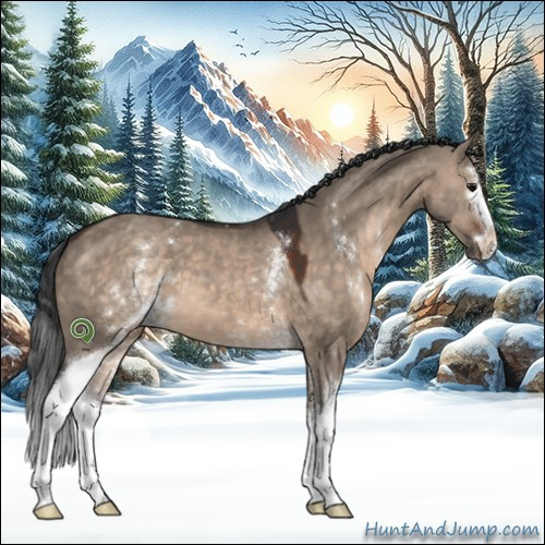 Horse Color:White Spotted Brown Dun Sabino