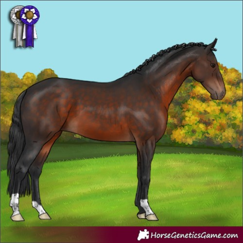Horse Color:Brown 