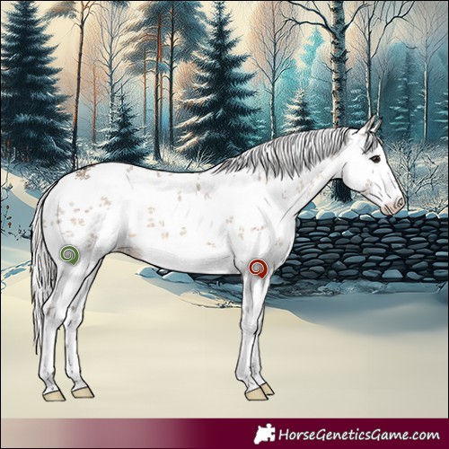 Horse Color:White Spotted Silver Brown Dun Sabino 