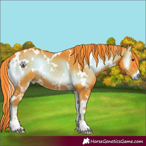 Horse Color:Watercolor White Spotted Liver Red Onyx 