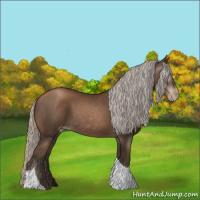 Horse Color:Gray Silver Black Pearl Tobiano 