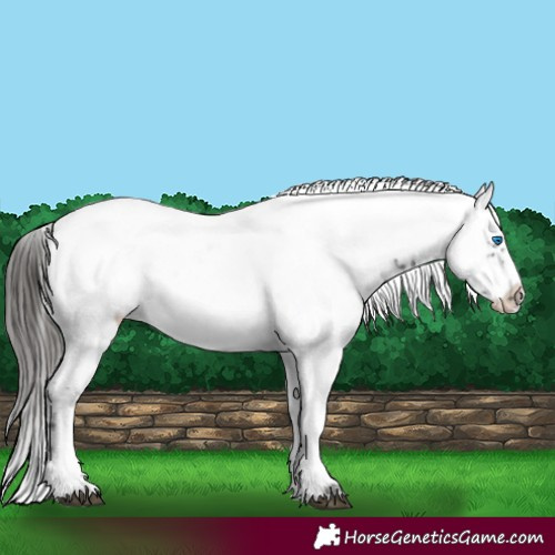 Horse Color:Liver Chestnut Frame 
