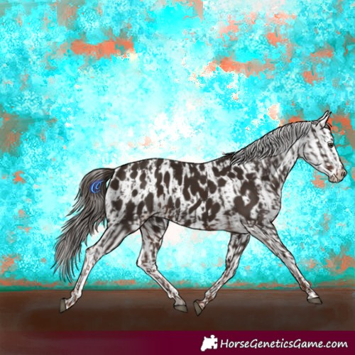Horse Color:Liver Chestnut  and Liver Chestnut Appaloosa 