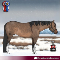 Horse Color:White Spotted Brown Dun 