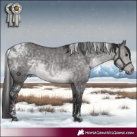 Horse Color:Platinum Buckskin Dun Tobiano 