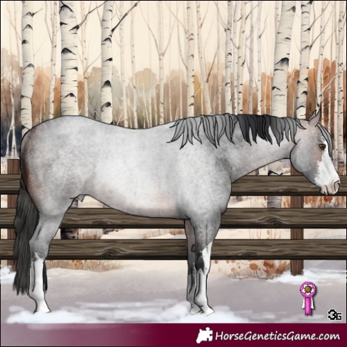 Horse Color:White Spotted Brown Roan Rabicano 