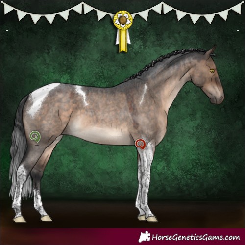 Horse Color:Brown Roan Dun Tobiano 