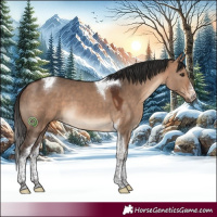 Horse Color:White Spotted Bay Dun Tobiano 