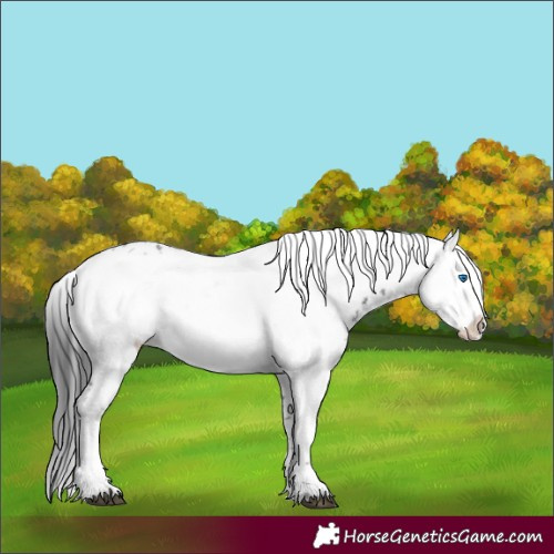 Horse Color:Black Frame