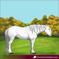 Horse Color:Black Frame 
