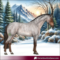 Horse Color:Liver Red Roan 