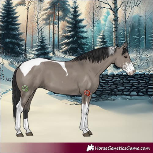 Horse Color:Grullo Sabino Tobiano 