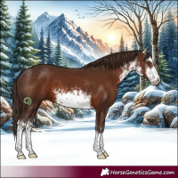 Horse Color:White Spotted Liver Chestnut 