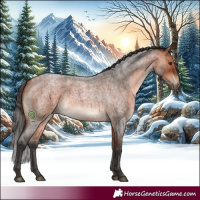 Horse Color:Bay Roan 