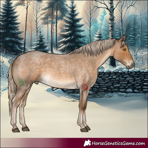 Horse Color:White Spotted Chocolate Palomino Roan 