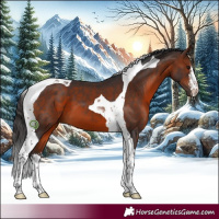 Horse Color:White Spotted Bay Tobiano