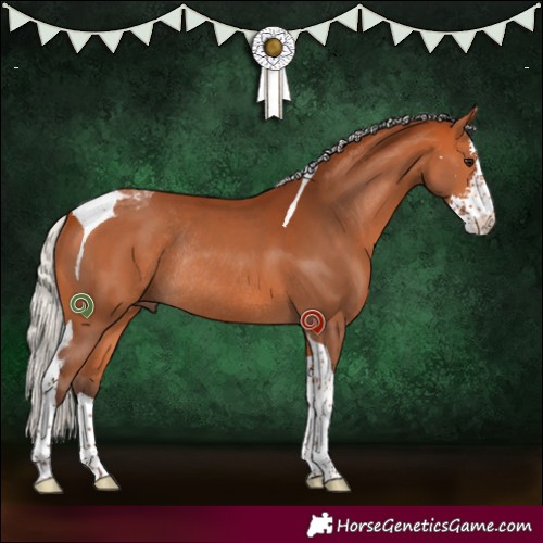 Horse Color:Silver Bay Sabino Tobiano Rabicano 